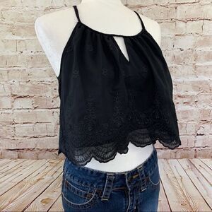 Tobi sleeveless embroidered cropped blouse